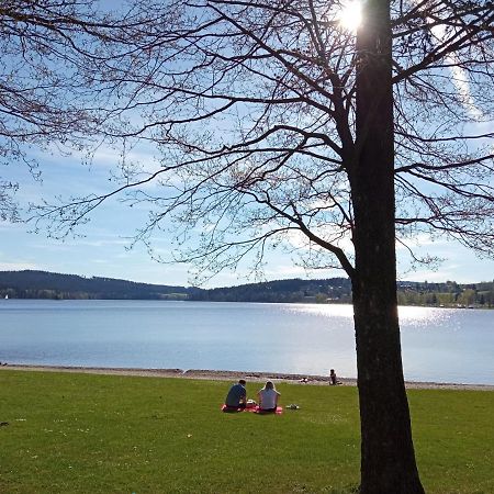 Apartman29 Lipno nad Vltavou Exteriér fotografie
