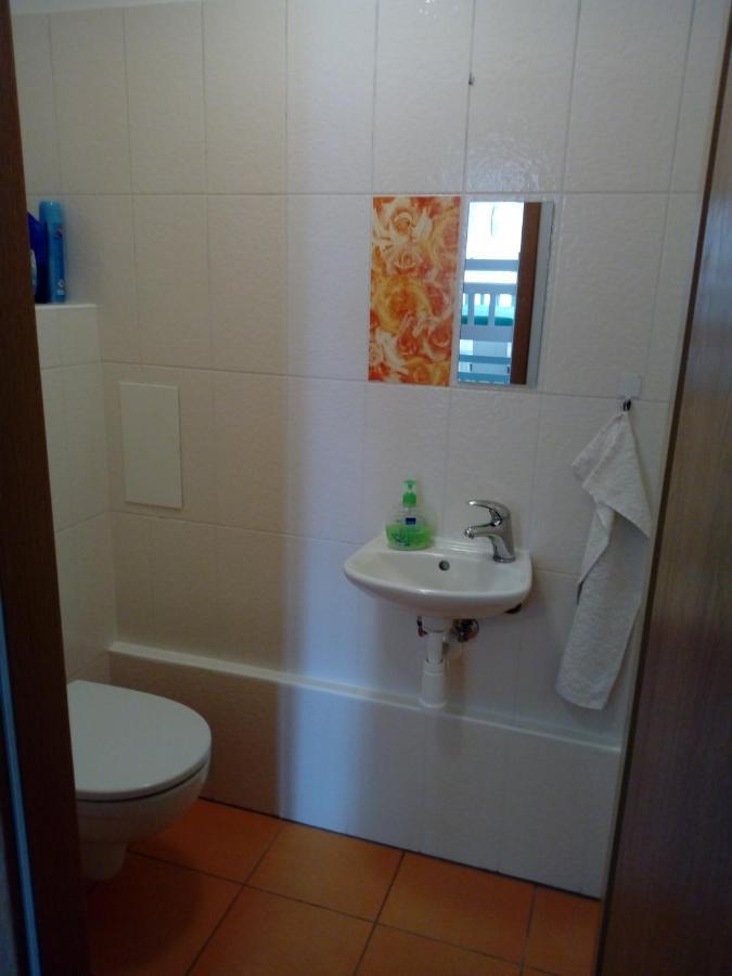 Apartman29 Lipno nad Vltavou Exteriér fotografie