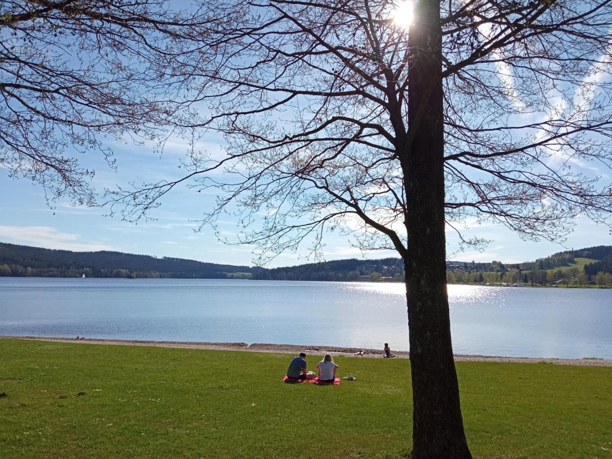 Apartman29 Lipno nad Vltavou Exteriér fotografie